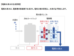 電解水素水」と「水素水」は別物？ 販売元に取材してみた（要約）：水