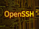 �������ꂽ�uOpenSSH�v�̐Ǝ㐫�́A�Ȃ��v���I�Ȃ̂��H�@���Ƃ����