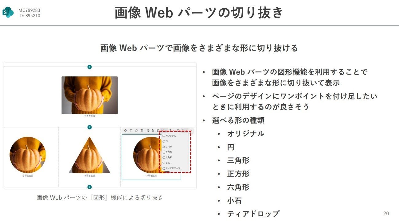 摜Webp[c̐؂蔲ioTFcms̓ej