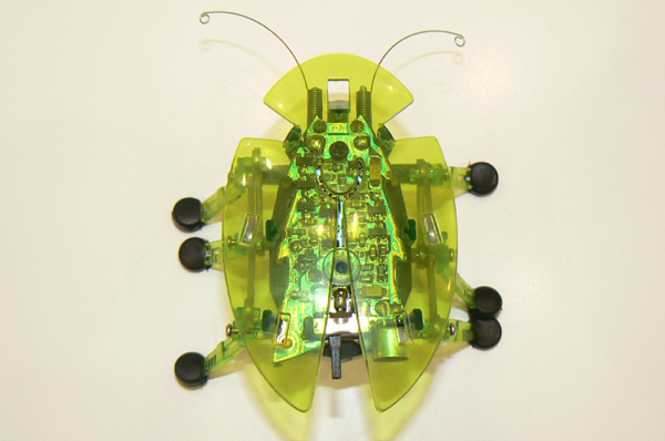 カサカサ動きまわる昆虫ロボ「HEX BUG」の正体：東京おもちゃショー2007（1/2 ページ） - ITmedia NEWS