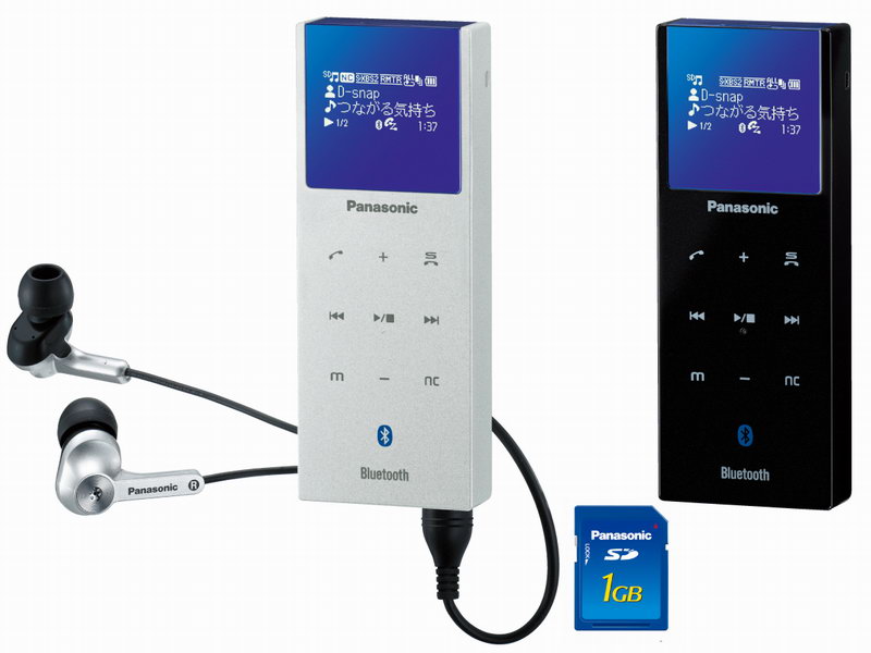 Panasonic D-snap Audio SV-SD750V