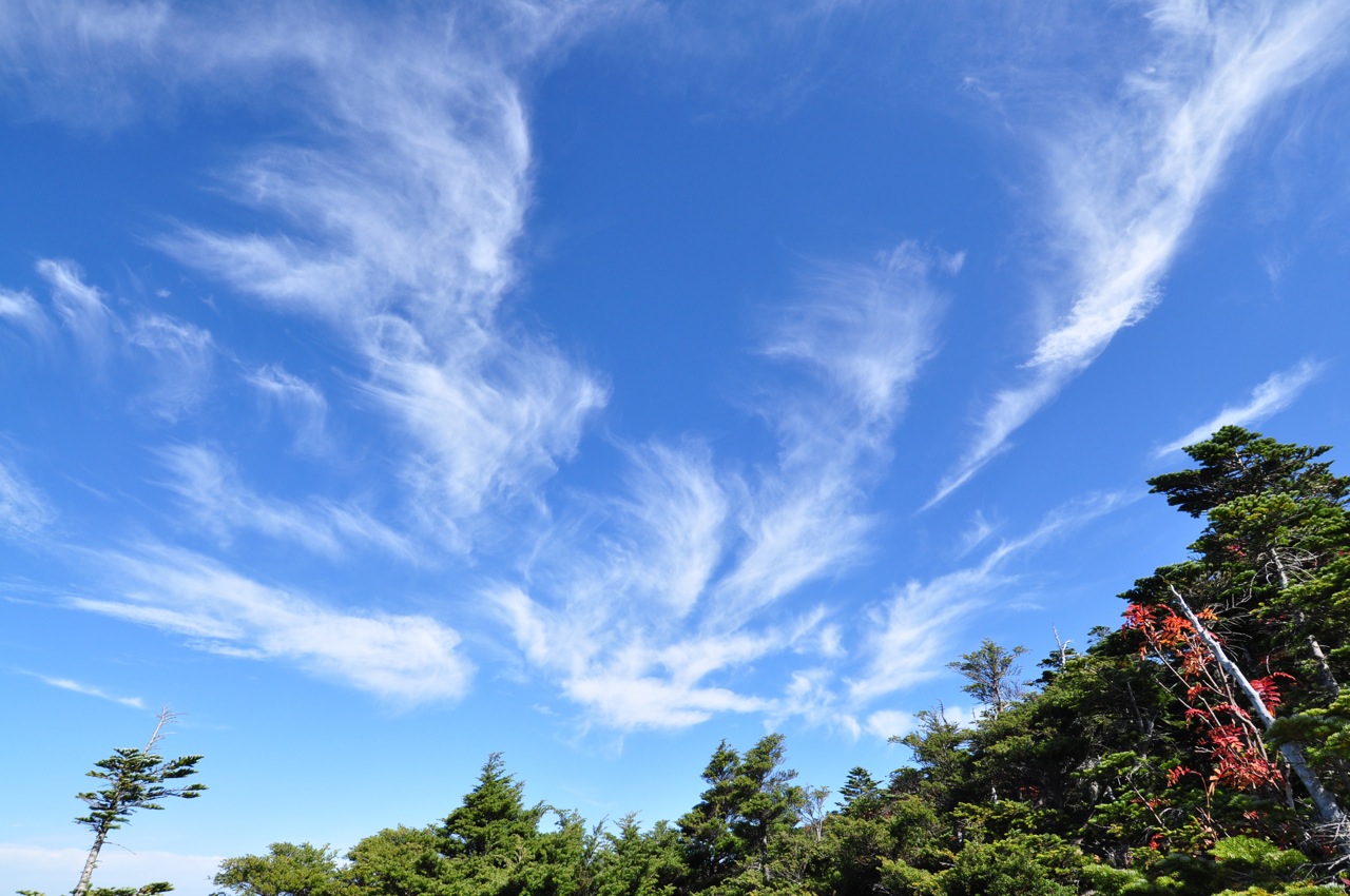 第106回 秋空と露出とホワイトバランスの関係 今日から始めるデジカメ撮影術 1 3 ページ Itmedia News 第106回 秋空と露出とホワイトバランスの関係 今日から始めるデジカメ撮影術 1 3 ページ Itmedia News