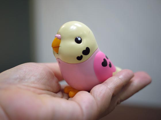 伝えたい事がそんなにあるなら「まねっこピーちゃん」におまかせ：愛