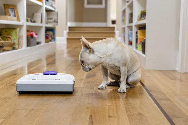neato ネイト ボットバック お掃除ロボット ネイト、ロボット掃除機に通販専用モデル「ボットバック 80」を追加
