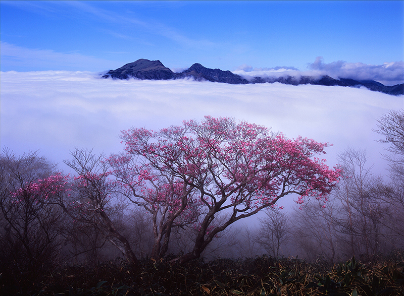 第6回 日本風景写真協会選抜展「四季のいろ」 - ITmedia NEWS