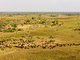 ヘリコプターからアフリカの自然を撮る