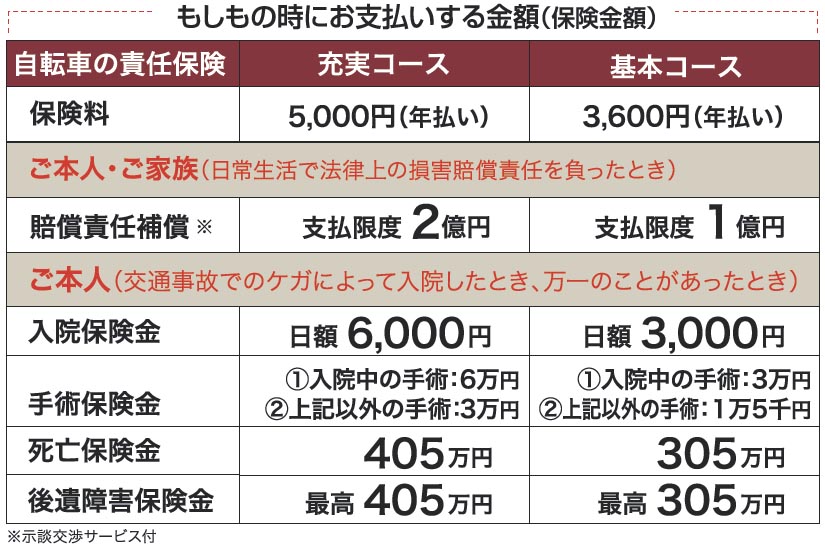 月300円から加入できる 家族全員対象の自転車保険 エアーリンクが発売 人ごとではない 自転車事故の高額賠償事例に備え Itmedia ビジネスオンライン