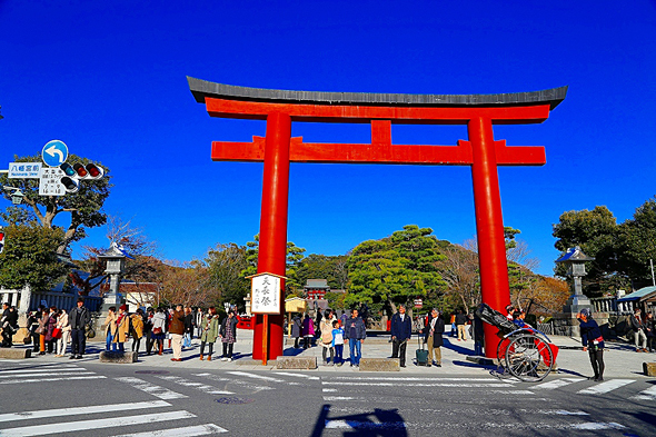 q̃t[^CBO[vŃ`FbN|CguVeBQCjOvsꂽ