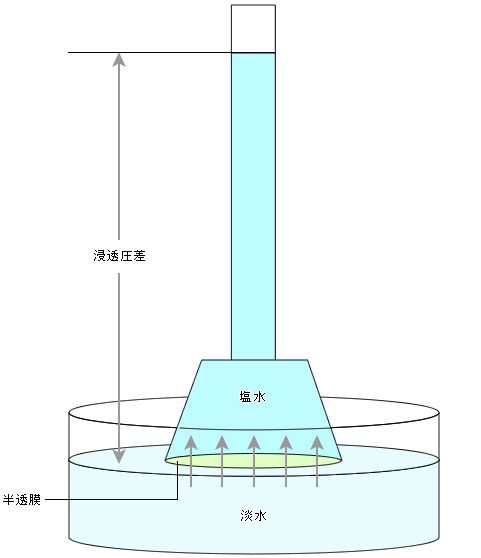 図2 浸透圧差の考え方　塩水の中に淡水が侵入することで水面が上昇、塩水面が上昇することで圧力の差が生まれる