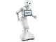 ロボットAI：電通が1-10Roboticsと提携、ロボットAIや会話エンジン開発を推進