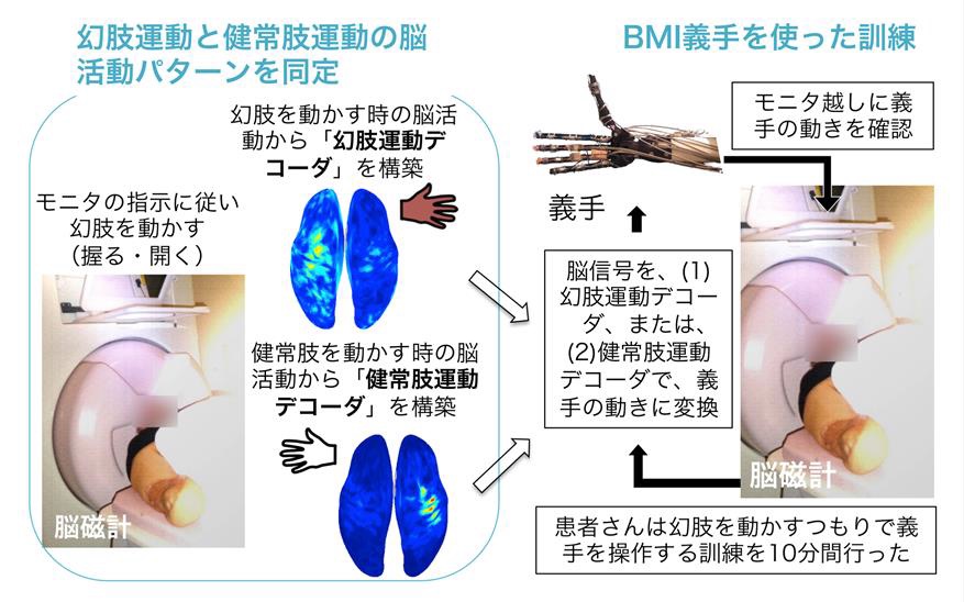 BMI`gP