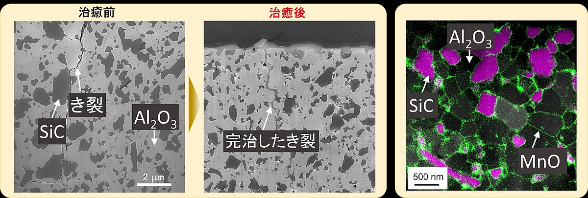 従来比6万倍の速さで自己修復するセラミックス、人間の骨と同じ治り方だった：材料技術（1/3 ページ） - MONOist