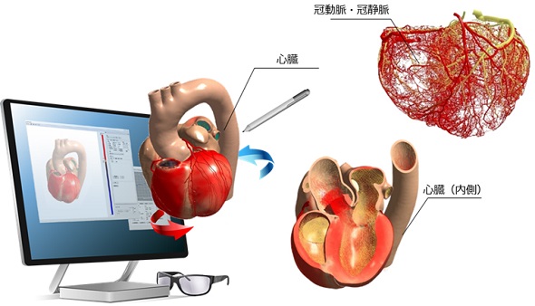 パチンコ キャラクターk8 カジノ心臓シミュレーターのデータを使った3Dモデルで精緻な心臓の学習が可能に仮想通貨カジノパチンコ無料 ゲーム トランプ ソリティア