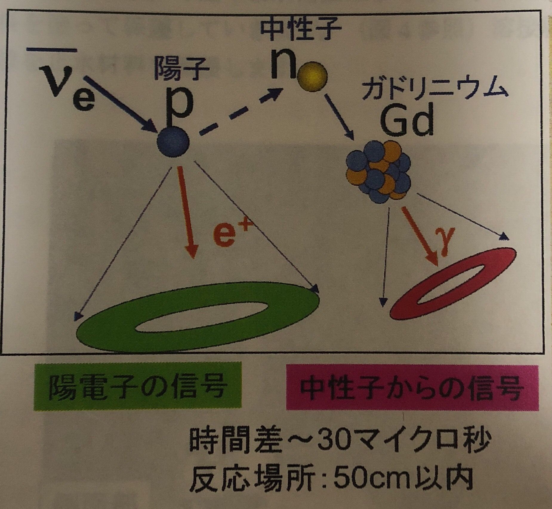 ^N̐Ɣdqj[gmꍇ̃C[WBdqj[gmۂɐ钆qKhjEɂ܂AK}oB̃K}`FRt𔭂邽߁Aʂ₷ɂȂiNbNŊgj