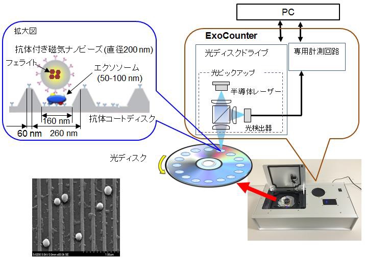 がんの経過観察に関係するエクソソーム計測システムを新開発：医療機器