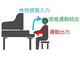 ピアニストの巧みな指さばきをかなえる生体機能の仕組みを発見