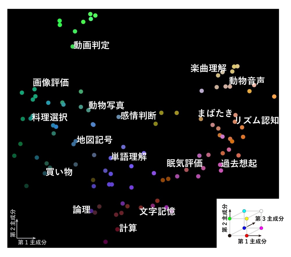 ヒトの認知機能をつかさどる脳内情報表現の可視化に成功：医療技術