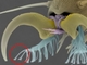 ハエの脚裏を模倣して接着と分離を繰り返せる構造を開発、作り方もハエに学ぶ