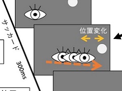 よく見えるほど位置変化が分からない視覚処理の特性を発見 医療技術ニュース Monoist