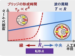 人工細胞を利用して 細胞内の配置対称性が決まる仕組みを解明 医療技術ニュース Monoist