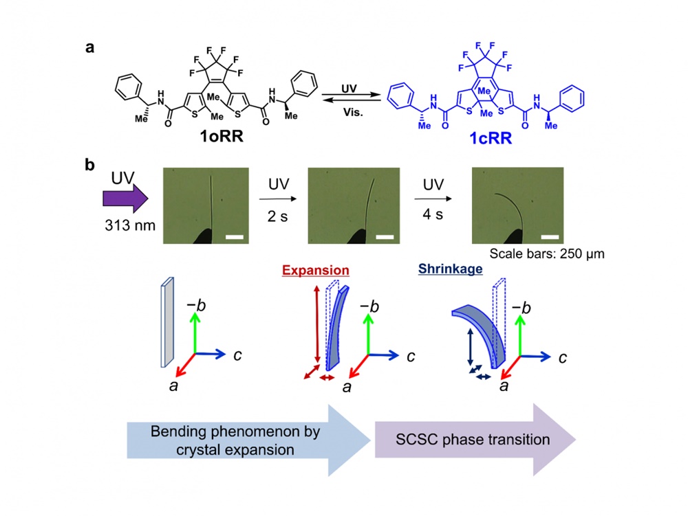 紫外線と可視光で、高速かつ可逆的に形状変化する結晶システムを発見：組み込み開発ニュース - MONOist