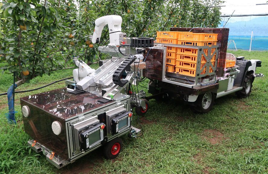 AIが果実の熟度を高精度判定、農研とデンソーらが自動収穫ロボットを共同開発