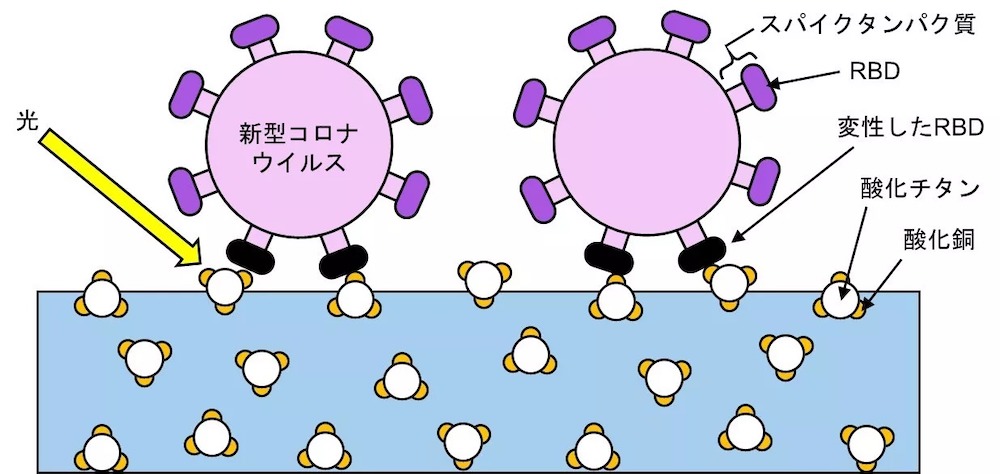 新型コロナウイルスを不活化する抗ウイルス性ナノ光触媒を開発 医療機器ニュース Monoist