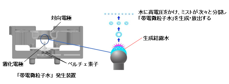 uѓdqv̔mNbNŊgn oFpi\jbN