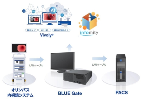 オリンパスの内視鏡システムと「BlueGate」「Vivoly+」「infomity」「PACS」の連携イメージ