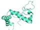 分子量13kDaの世界最小サイズの発光酵素を開発