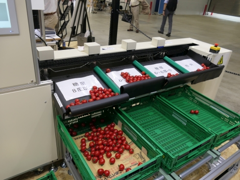 「NS-2」で栽培したトマトを用いたライン式簡易選果システムのデモ