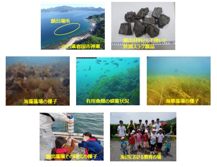 山口県の海域で鉄鋼スラグを用いた藻場造成事業が「Jブルークレジット