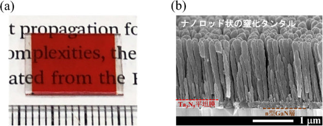 水を高効率に分解する赤色透明な酸素生成光電極でSTH10％を達成：材料技術 - MONOist