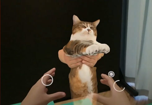 「Magic Leap 2」を通して3D CGの猫と触れ合う様子