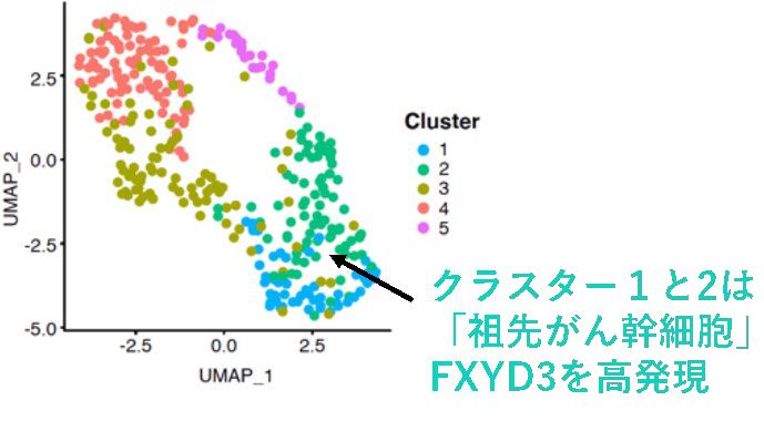 特定の食事療法を行うと効果がありますか?