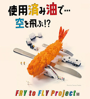 「Fry to Fly Project」のイメージ