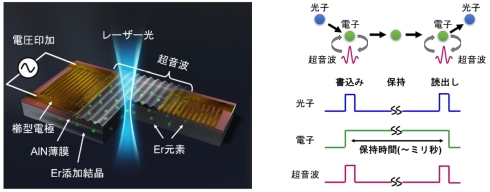 作成した超音波素子の概略図（左）と将来的な量子光メモリ素子としての利用イメージ（右）