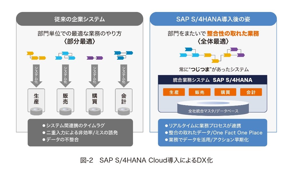 }-2 SAP S/4HANA CloudɂDXՂ̍\zmNbNĊgn 񋟁FNTTf[^GSL