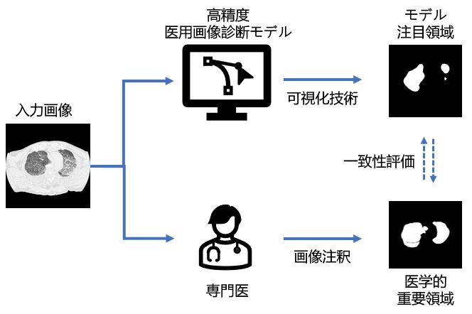 【中古】高次元医用画像工学とその臨床応用 高次元医用画像工学とその臨床応用 | 鈴木 直樹, 服部 麻木 |本 | 通販