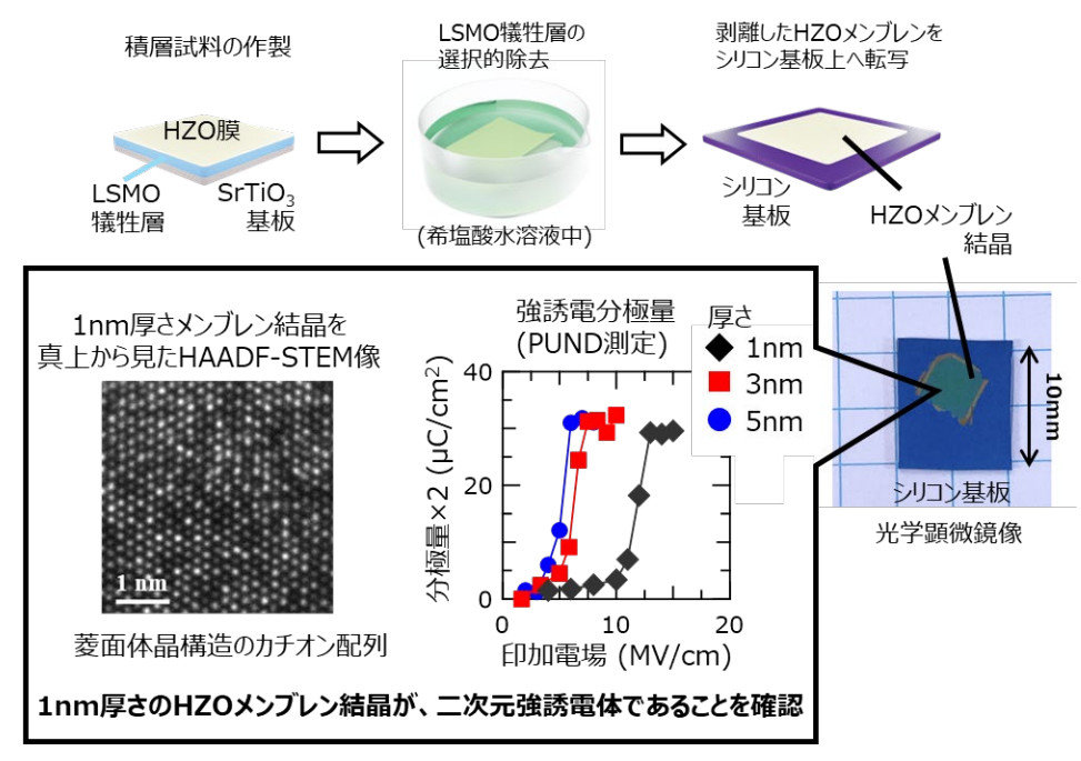 F2Ud̂̍쐻vZXBF1nmHZOutop-view HAADF-STEMƁAHZOu̎ɗʁmNbNŊgn oFsw