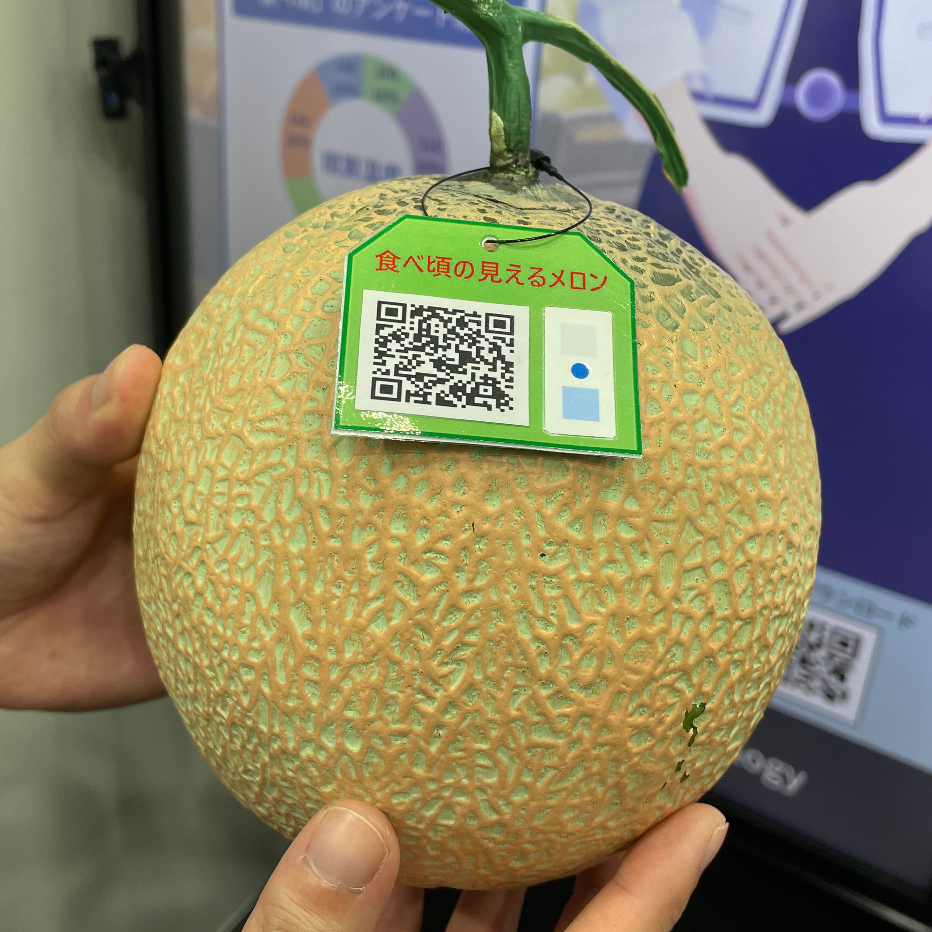 このメロンは明日のご褒美デザートに”日立産機が品質可視化