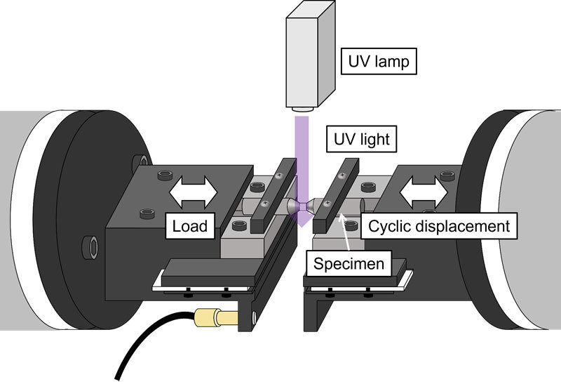 紫外線硬化接着剤の硬化過程を予測する新技術を共同開発：CAEニュース