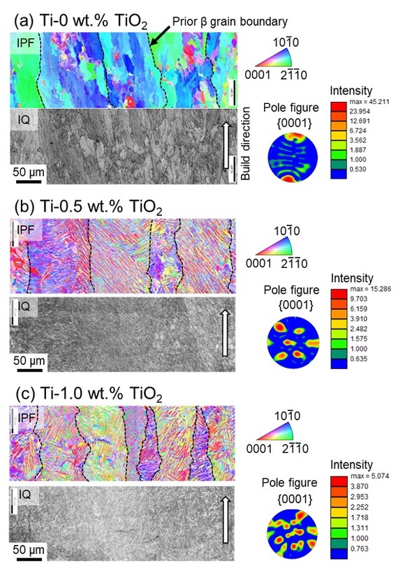 }4 _fܗLʂقȂTi`̂̌gDɊւSEM-EBSD͌