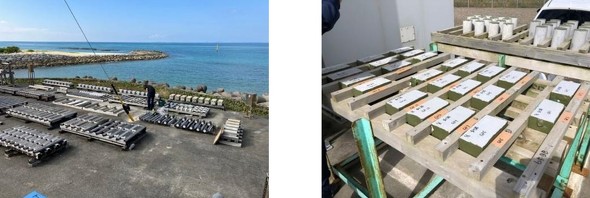 ʐ^1 \Ȉ󋵁iFꌧAEFkCHsj