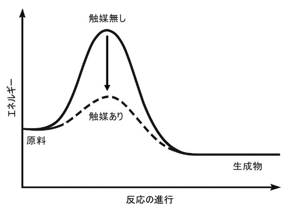 }1 G}ɂ銈GlM[ω̃C[W