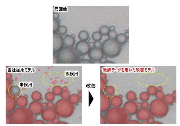 ���t�f�[�^�̗L���ɂ�铯�Ђ̏]�����f���Ɖ��P���f���̌��ʔ�r