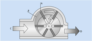 �^��|���v�̖͎��f�ʐ} �o���F�V���}���c