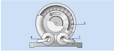 �^��u�����̖͎��f�ʐ}