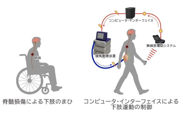 �L���v�V����