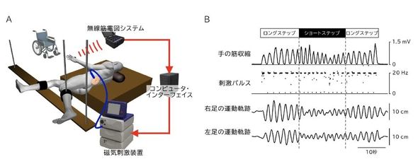 �L���v�V����